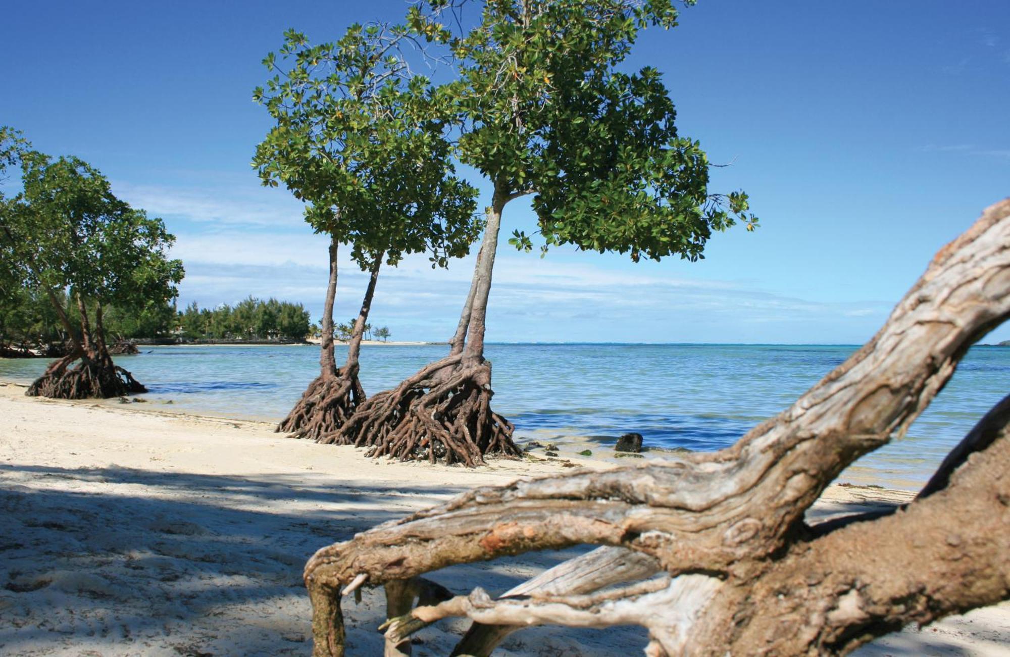 Jalsa Beach Hotel & Spa Poste Lafayette Exteriér fotografie